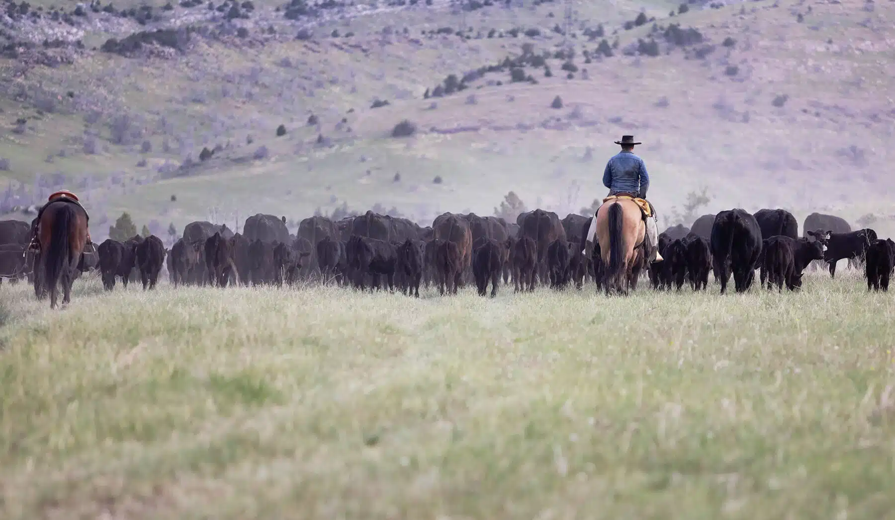 Cattle Rancher Custom Rods