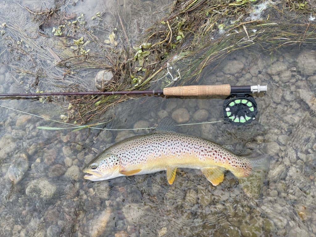 Fishing at Beaverhead Rock