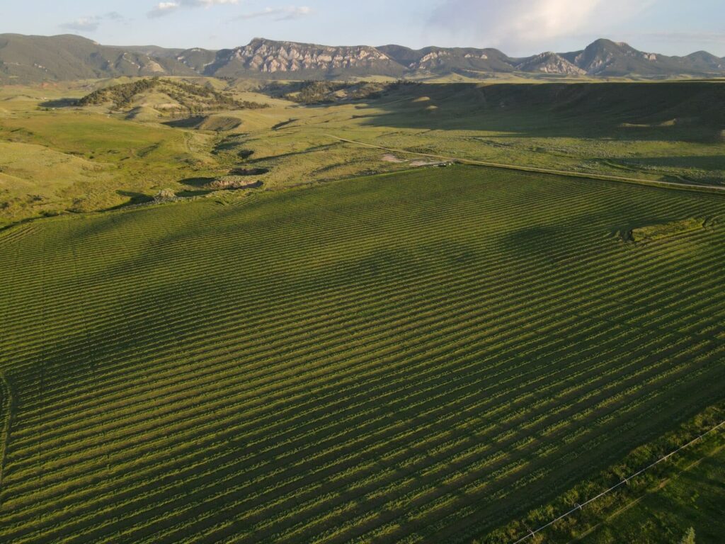 Crazy P Irrigated Meadows | Listed by Swan Land Company