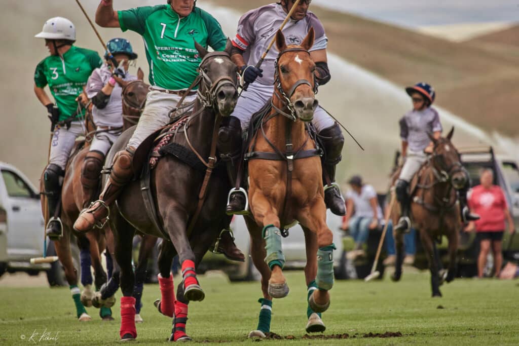 Bighorn Polo Club in Sheridan Wyoming
