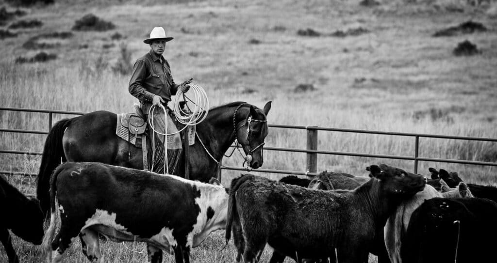 Buck Brannaman on the Houlihan Ranch